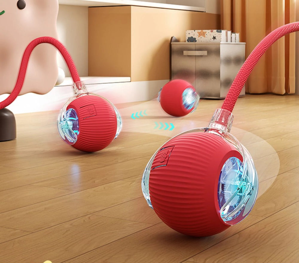 Smart Tail – Interactive Cat Training Ball