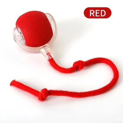 SmartTail – Interactive Cat Training Ball