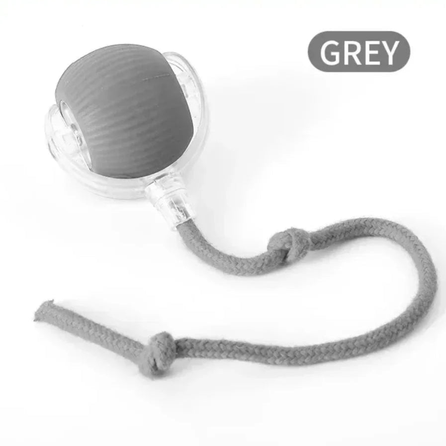 SmartTail – Interactive Cat Training Ball