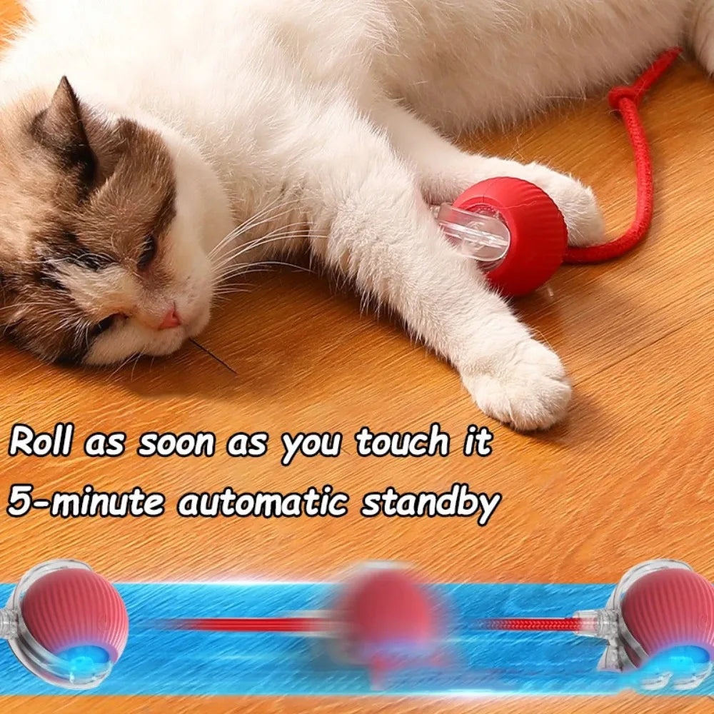 SmartTail – Interactive Cat Training Ball