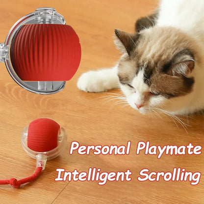 SmartTail – Interactive Cat Training Ball