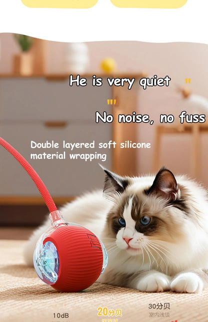 Smart Tail – Interactive Cat Training Ball