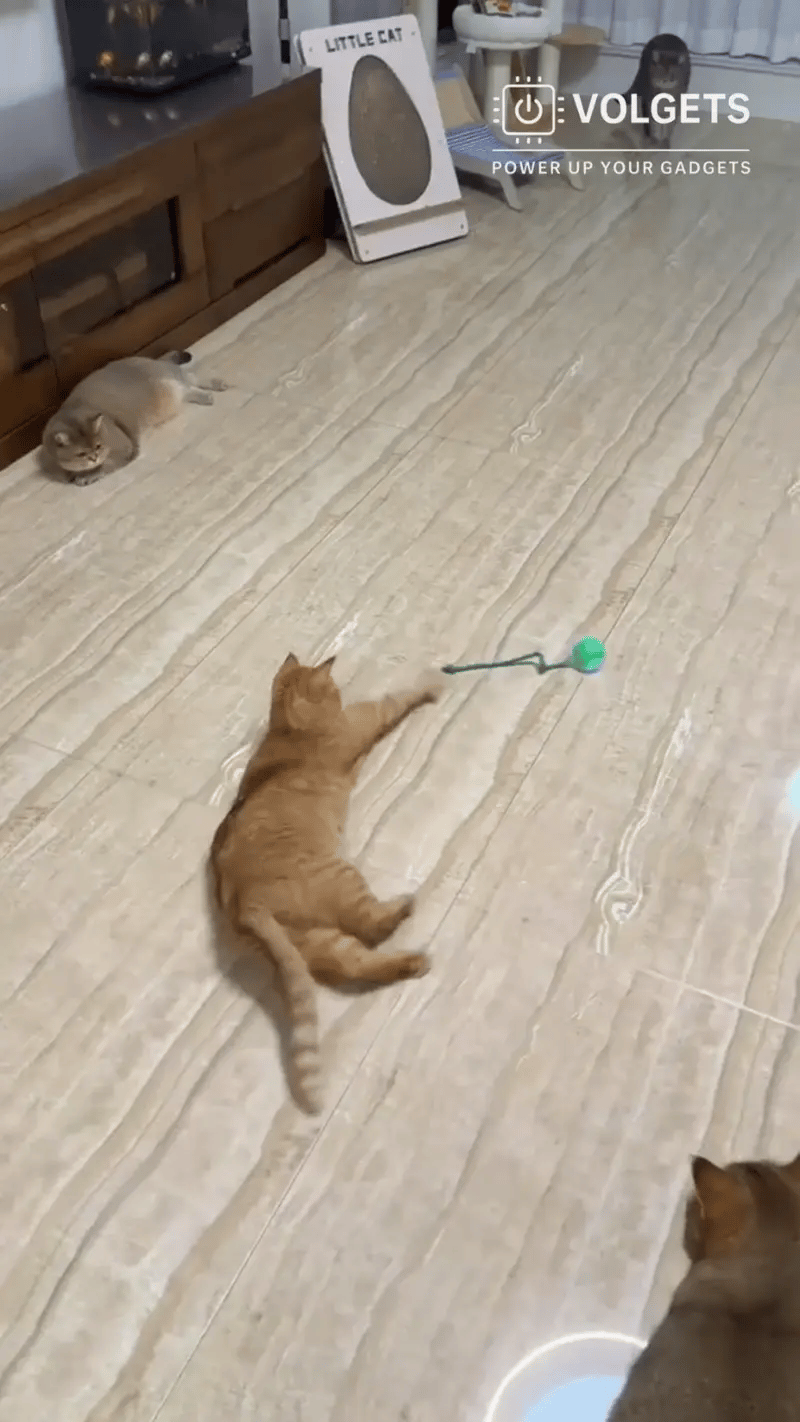 Smart Tail – Interactive Cat Training Ball