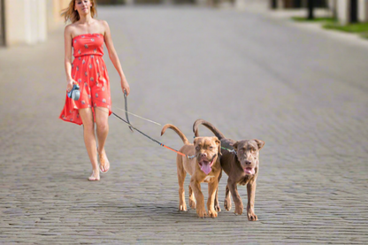 Twist-Free Duo Leash – Walk Two Dogs with Control & Visibility