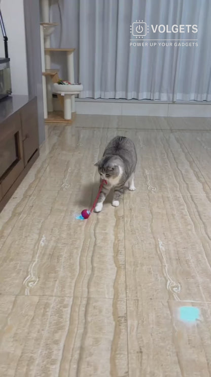 Smart Tail – Interactive Cat Training Ball